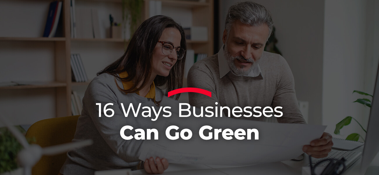 16 ways businesses can go green
