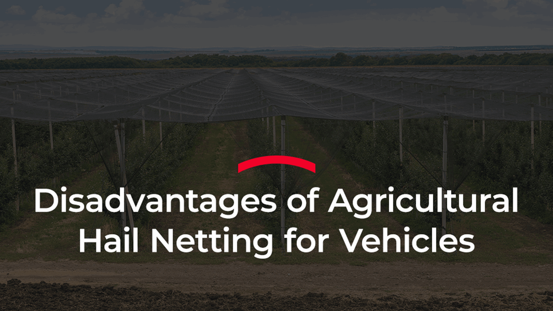 Disadvantages of Agricultural Hail Netting for Vehicles