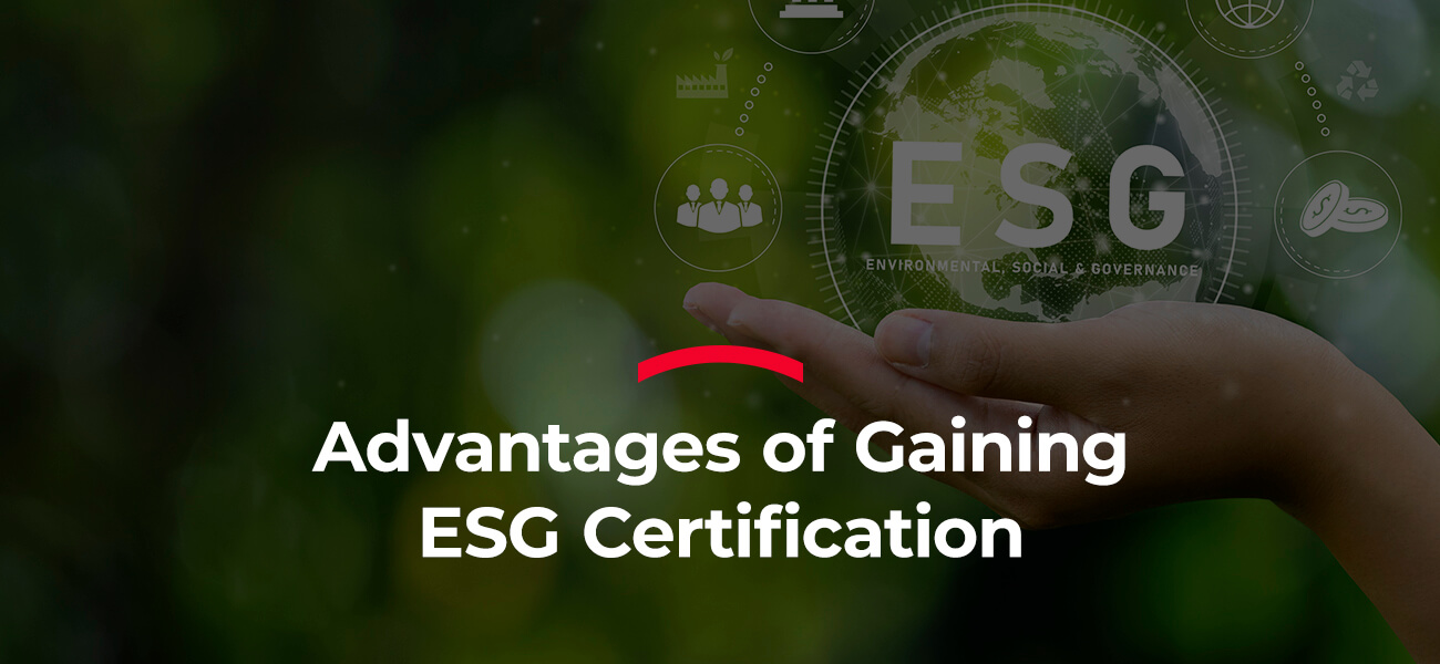 Advantages of Gaining ESG Certification