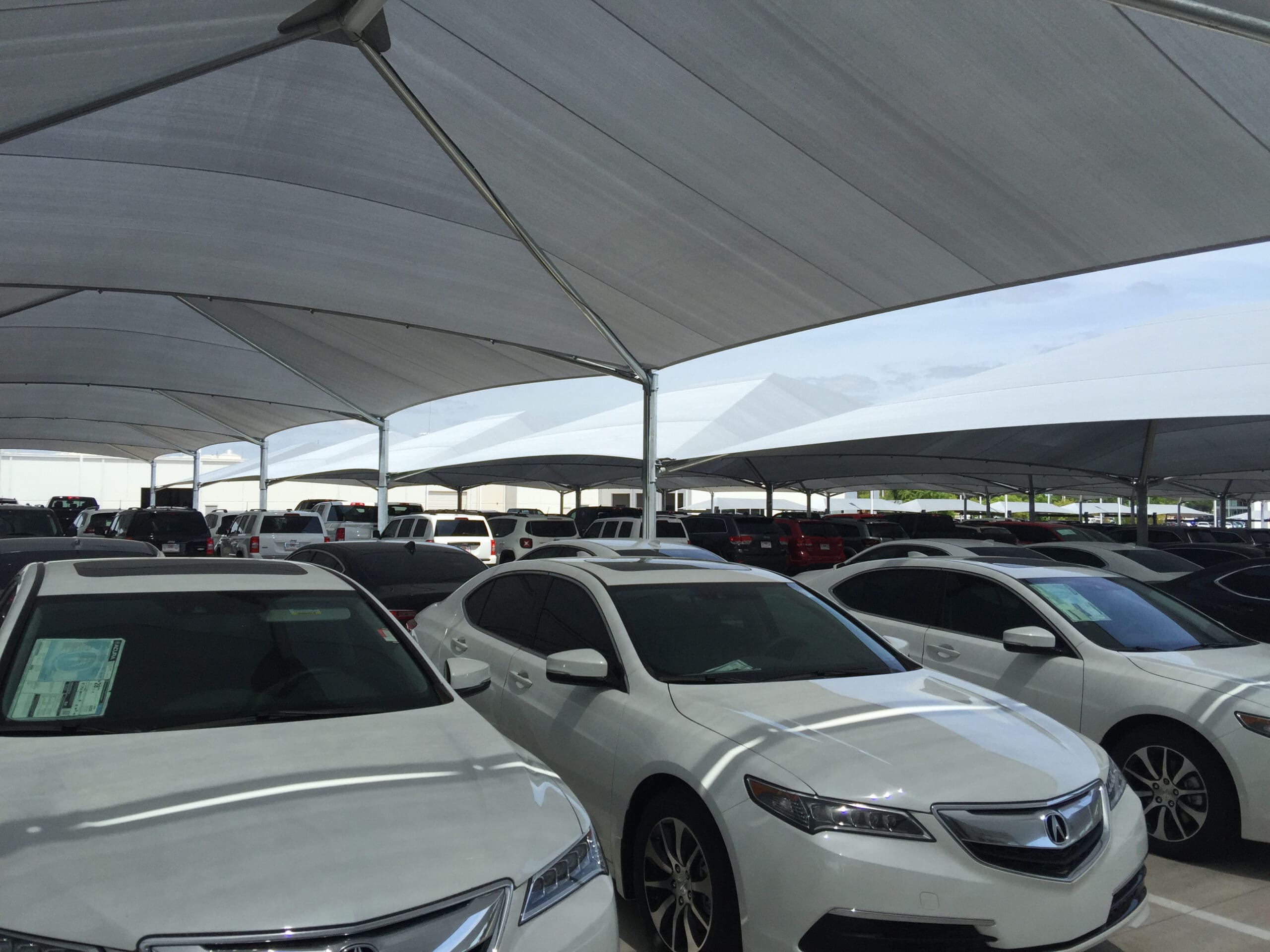 Diamond Protector thumbnail