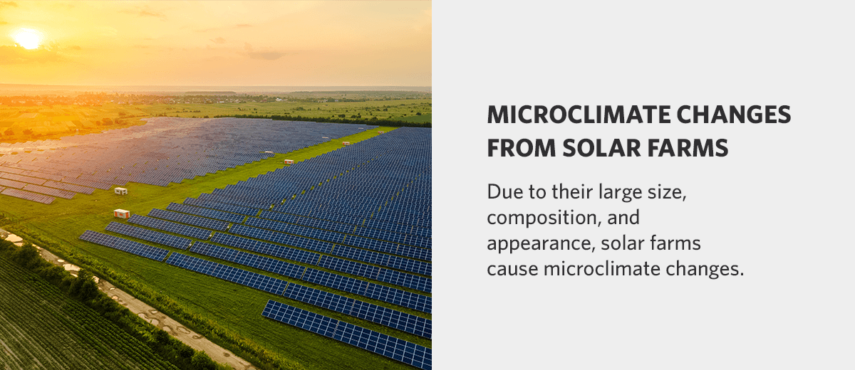 Microclimates from Solar Farms